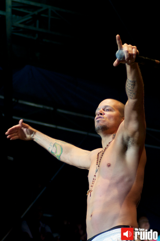 vive10-calle13