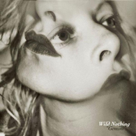 wildnothingcd