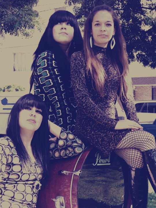 lasvinylators