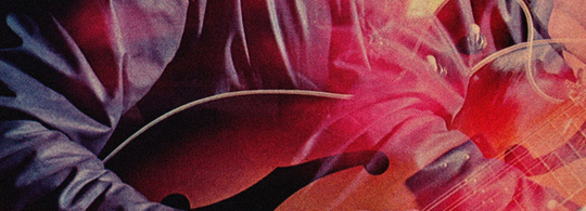 chromatics-feature