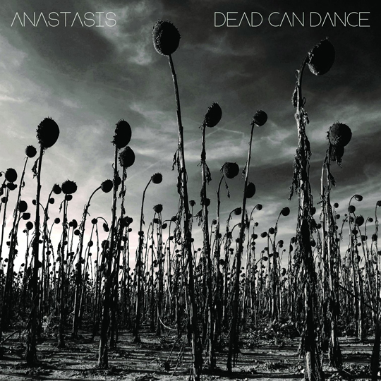 deadcandanceanastasis