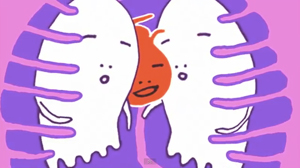 toddlat-video