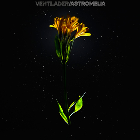 ventiladerastromelia-mp3