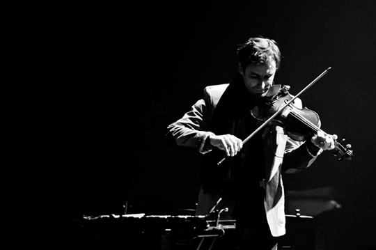 andrewbird1