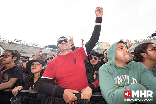 ambiente vive latino