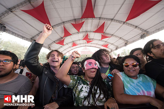 ambiente vive latino