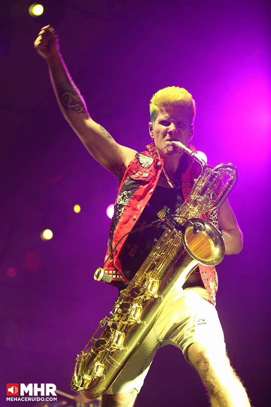 too many zooz vive latino