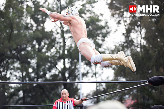 lucha libre vive latino