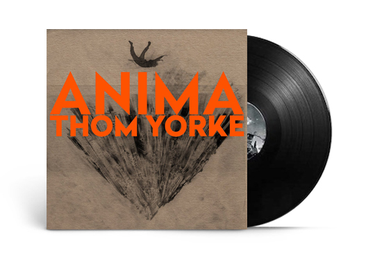 anima yorke