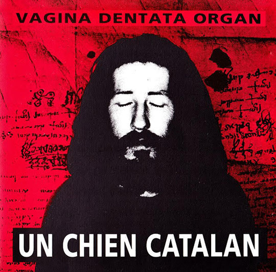 Vagina Dentata Organ