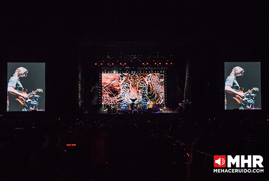 caifanes autodromo palco