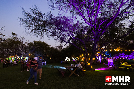 corona capital guadalajara ambiente