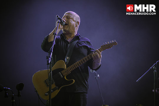 pixies corona guadalajara