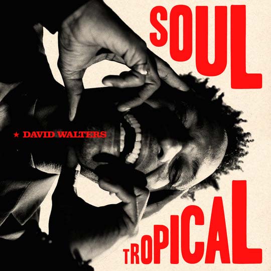 David Walters Soul Tropical