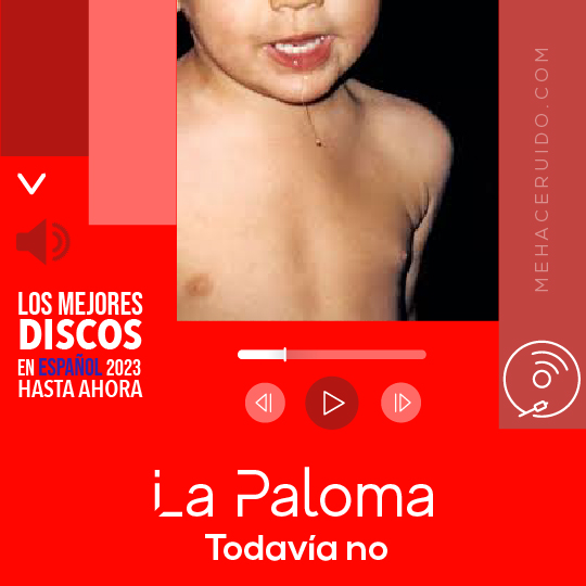 paloma todavia no