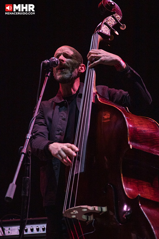 andrew bird auditorio bb