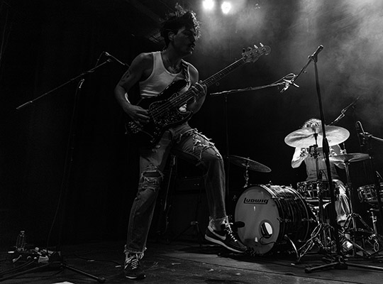 sexy zebras foro indie rocks