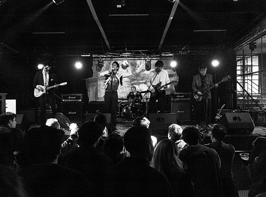 monkeybee festival 2024