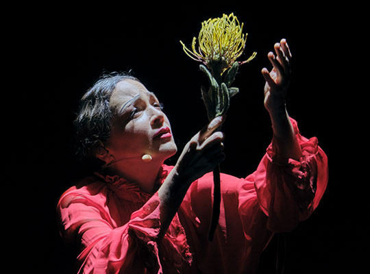 natalia lafourcade cancionera metropolitan