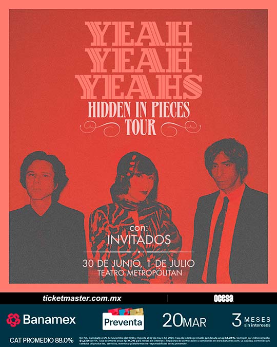 yeah yeahs flyer