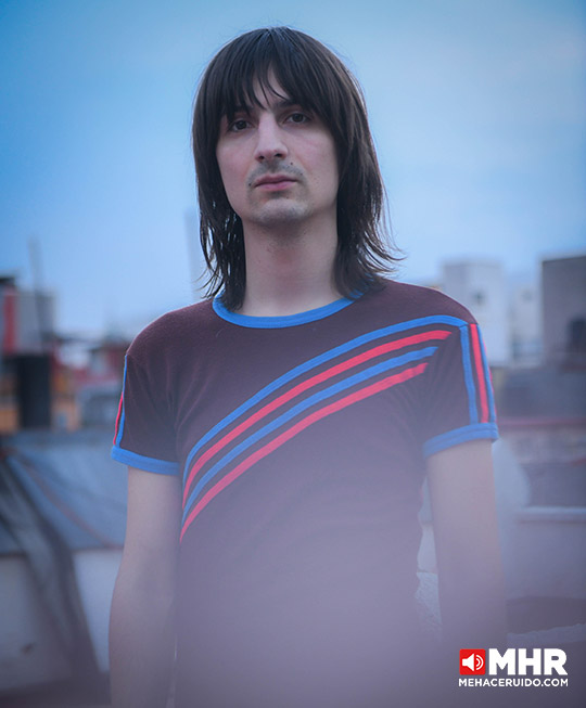 lemon twigs retrato