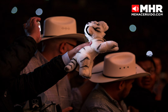los tigres del norte palacio deportes
