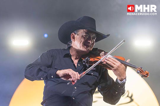 caballo dorado pulso gnp 2025