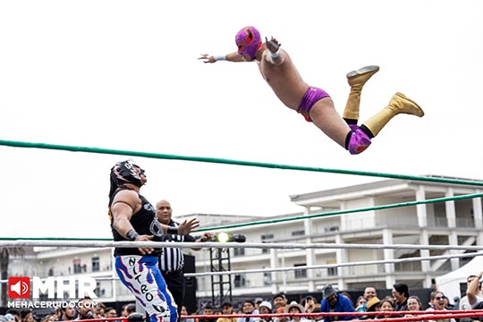 lucha libre vive latino 2026