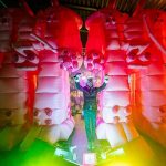 flaming lips pabellon mexico