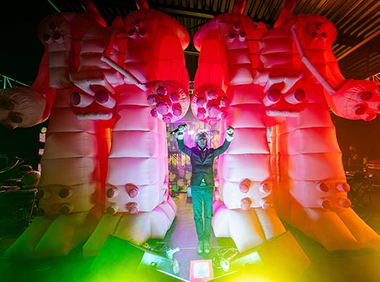 flaming lips pabellon mexico