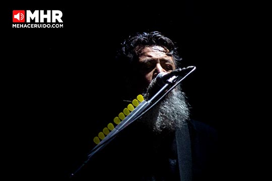 molotov minuscula festival city queretaro