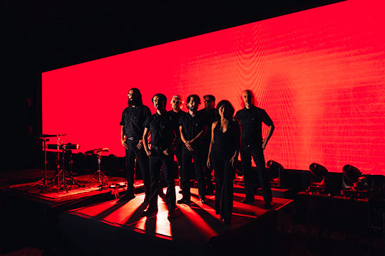 sonigo gallo negro suavecito retrato