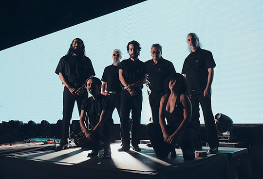 sonigo gallo negro suavecito retrato