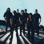 sonigo gallo negro suavecito retrato