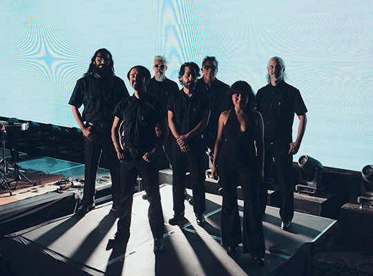 sonigo gallo negro suavecito retrato