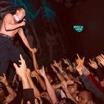 shame house of vans mexico