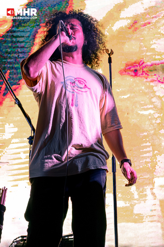 young tender foro ir 