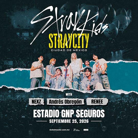 Stray Kids Straycity