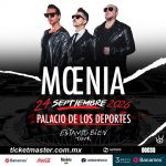 moenia flyer