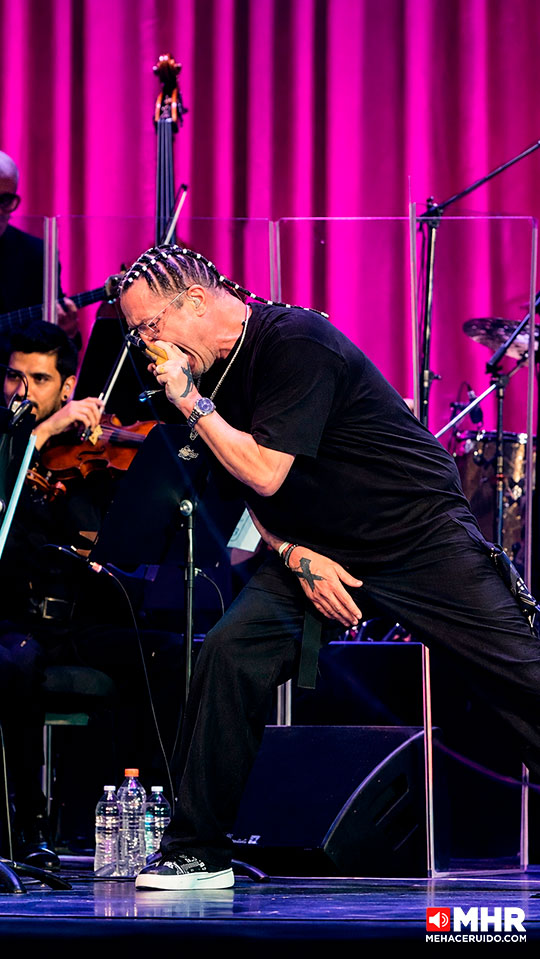 mike patton mondo cane bellas artes